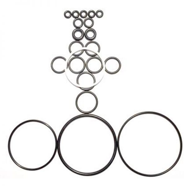 10 Complete O-ring Kits fit Graco Fusion AP Air Purge 246355-1